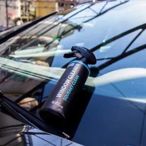Window-Cleaner-On-Car